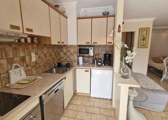 Avec Coin Nuit, Apercu Mer, Piscine Et Parking A - Fr-1-780-95 Сент-Максім